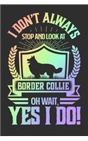 I Don't Always Stop and Look At Border Collie OH Wait, Yes I Do!