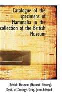 Catalogue of the Specimens of Mammalia in the Collection of the British Museum