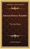 Natural History Rambles: The Sea-Shore