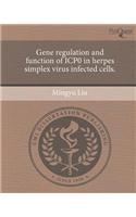 Gene Regulation and Function of Icp0 in Herpes Simplex Virus Infected Cells