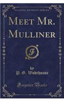 Meet Mr. Mulliner (Classic Reprint)