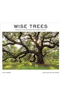 Wise Trees 2019 Wall Calendar: Remarkable Living Monuments from Around the World: Remarkable Living Monuments from Around the World