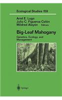 Big-Leaf Mahogany