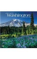 Washington Wild & Scenic 2019 Square