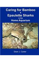 Caring for Bamboo and Epaulette Sharks in the Home Aquarium