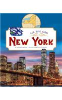 New York: (U.S.A. Travel Guides)