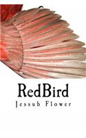 RedBird