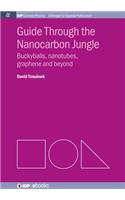 Guide Through the Nanocarbon Jungle