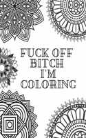 Fuck Off Bitch I'm Coloring