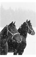 2020 Daily Planner Horse Photo Equine Horses Snowfall 388 Pages