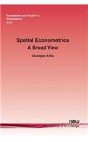 Spatial Econometrics: A Broad View