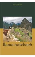 llama notebook