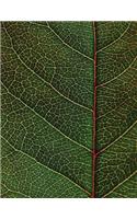 Leaf Veins Sketchbook: Blank Art Sketch Pad Journal Notebook(33 Go Green 150 Sketch)