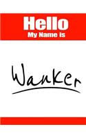 Hello My Name Is Wanker: Funny Phrase Discreet Internet Website Password Organizer Book