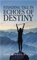 Standing Tall in Echoes of Destiny