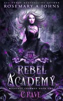 Rebel Academy