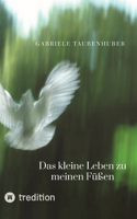 kleine Leben zu meinen Füßen