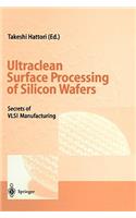 Ultraclean Surface Processing of Silicon Wafers