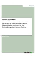 Drogensucht. Subjektive Bedeutung biographischer Faktoren für die Entwicklung eines Suchtverhaltens