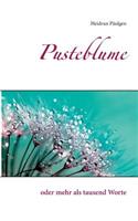 Pusteblume