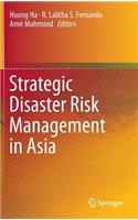 Strategic Disaster Risk Management in Asia