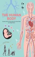 Human Body