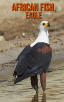 African fish eagle: Beautiful Pictures & Interesting Facts Children Book About African fish eagle