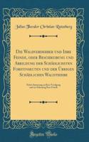 Die Waldverderber und Ihre Feinde, oder Beschreibung und Abbildung der Schädlichsten Forstinsecten und der Übrigen Schädlichen Waldthiere: Nebst Anweisung zu Ihrer Vertilgung und zur Schonung Ihrer Feinde (Classic Reprint)