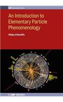 An Introduction to Elementary Particle Phenomenology
