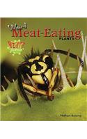 Weird Meat-Eating Plants