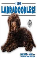 I Like Labradoodles!: (Discover Dogs with the American Canine Association)