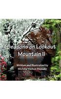 Seasons on Lookout Mountain II