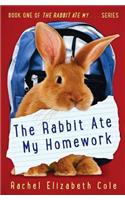 Rabbit Ate My Homework