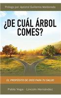 ¿De cuál árbol comes?