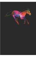 Horse Colors