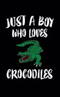 Just A Boy Who Loves Crocodiles: Animal Nature Collection