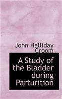 A Study of the Bladder During Parturition