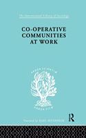 Co-Operative Communities at Work