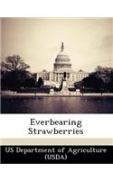 Everbearing Strawberries