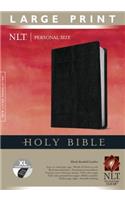 NLT Holy Bible Personal Size Large Print, Black, Indexed