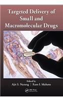 Targeted Delivery of Small and Macromolecular Drugs
