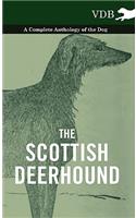 The Scottish Deerhound - A Complete Anthology of the Dog