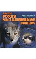 Arctic Foxes Pounce, Lemmings Burrow