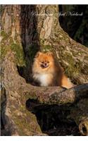 Pomeranian April Notebook Pomeranian Record, Log, Diary, Special Memories, To Do List, Academic Notepad, Scrapbook & More
