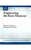 Engineering the Knee Meniscus