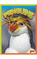 Penguins: (Wild Animal Kingdom)