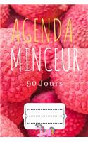 Agenda Minceur 90 jours: Agenda Minceur - 15,2 x 22,8 cm - Permet de contrôler si on brule plus de graisse que l'on n'en consomme