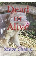 Dead or Alive