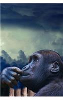 Ape Notebook