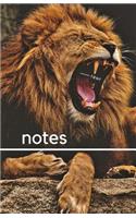 Notes